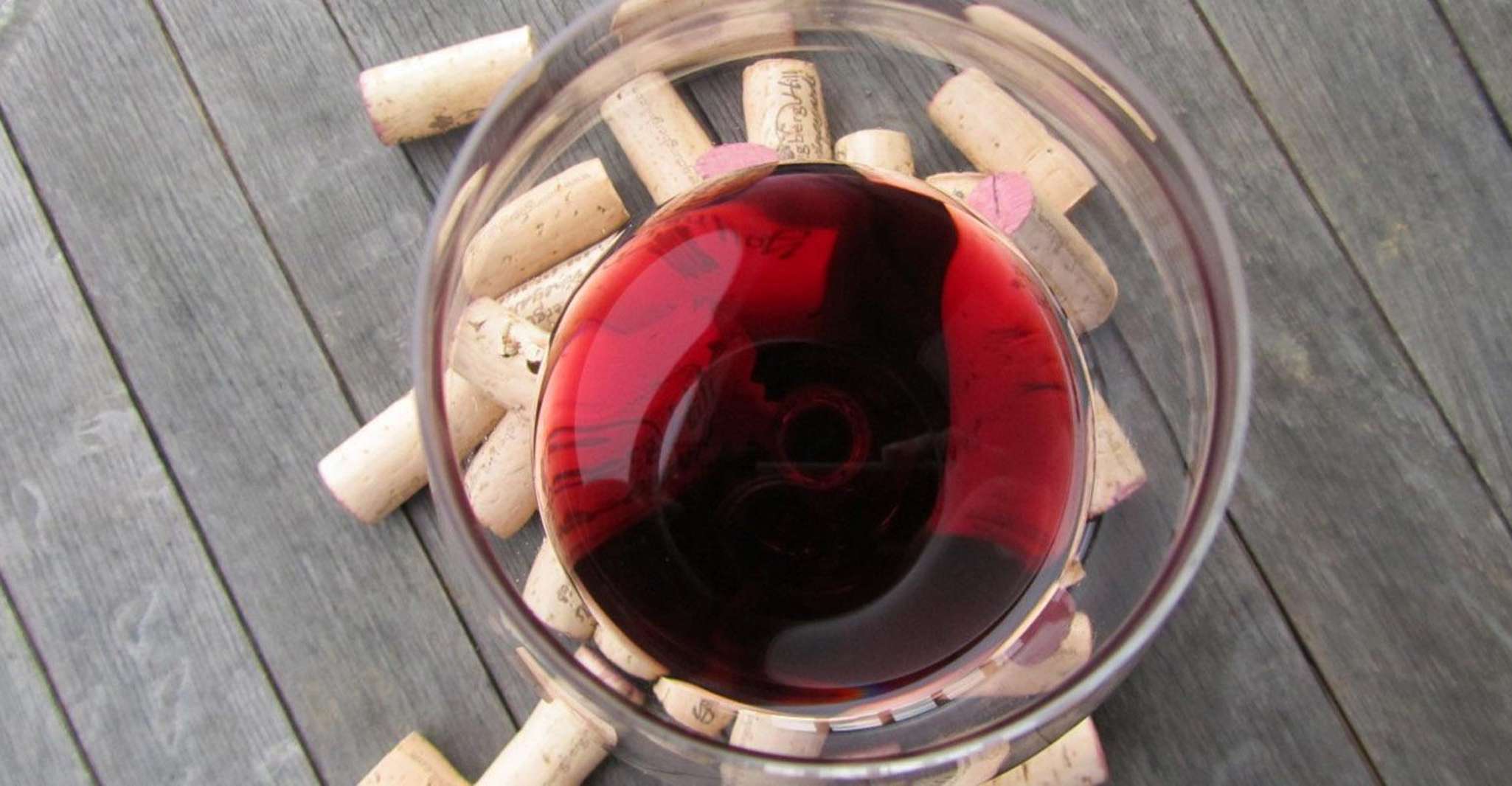 Ganztägige Barbaresco Weintour mit Trüffeljagd und Mittagessen - Hizvo