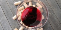 Tour de vino Barbaresco de día completo con caza de trufas y almuerzo - Hizvo