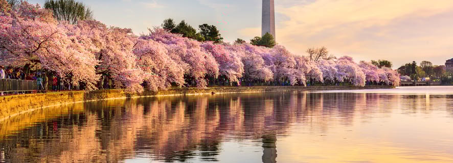 5-Day Tour of America from New York City