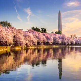 From New York City: 5-Day Tour w/Niagara Falls & White House