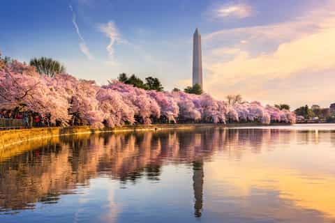 5-Day Tour of America from New York City