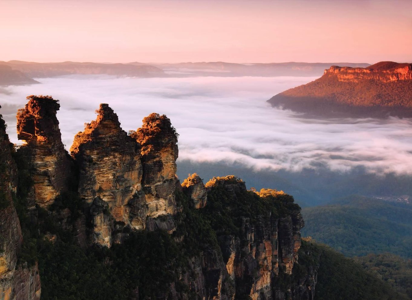 Sydney: Blue Mountains National Park Tour med flodkrydstogt