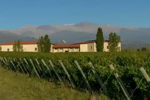 Tour of the Uco Valley