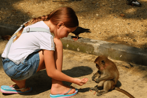 Khao Lak: De verbazingwekkende 3 tempels Phang Nga Tour