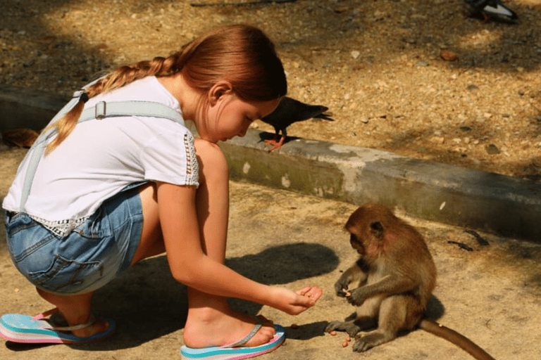 Khao Lak: De verbazingwekkende 3 tempels Phang Nga Tour