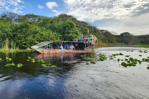 Miami: Everglades Airboat, encontro com jacarés e traslado de ônibus