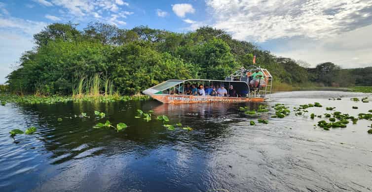 Miami: Everglades Airboat, Gator Encounter & Bus Transfer