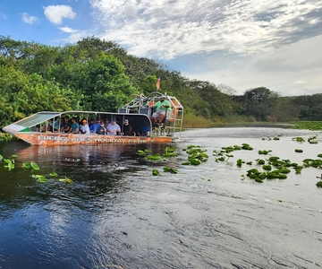 Miami: Everglades Airboat, Gator Encounter & Bus Transfer