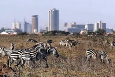 Game Drive w Parku Narodowym Nairobi