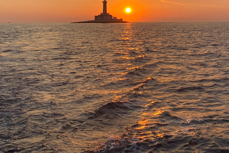 Medulin: 3h Ultra ALL-INCLUSIVE Sunset Dolphin Boat trip 3hours Dolphin Sunset watching with drinks+dinner sandraboat