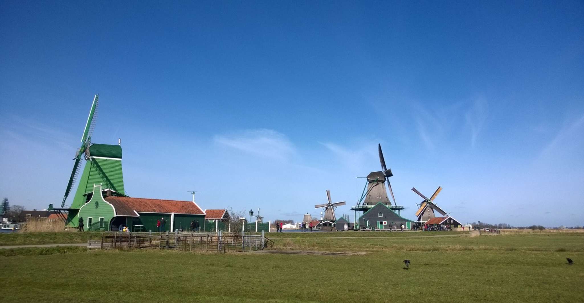 Amsterdam: Zaanse Schans 3-Hour Small Group Tour photo 5