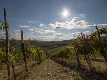 Chianti bei Sonnenuntergang: Kleine Gruppe Exkursion Chianti bei Sonnenuntergang: Kleine Gruppe Exkursion
