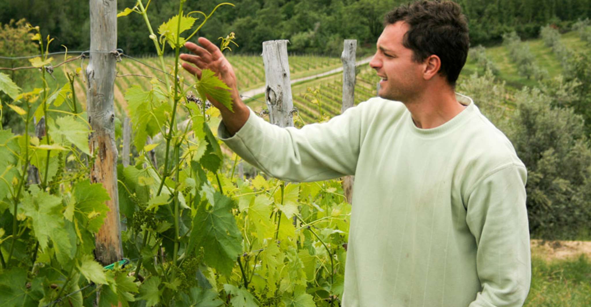 From Florence: Chianti Wine Tastings at Sunset Day Trip photo 8