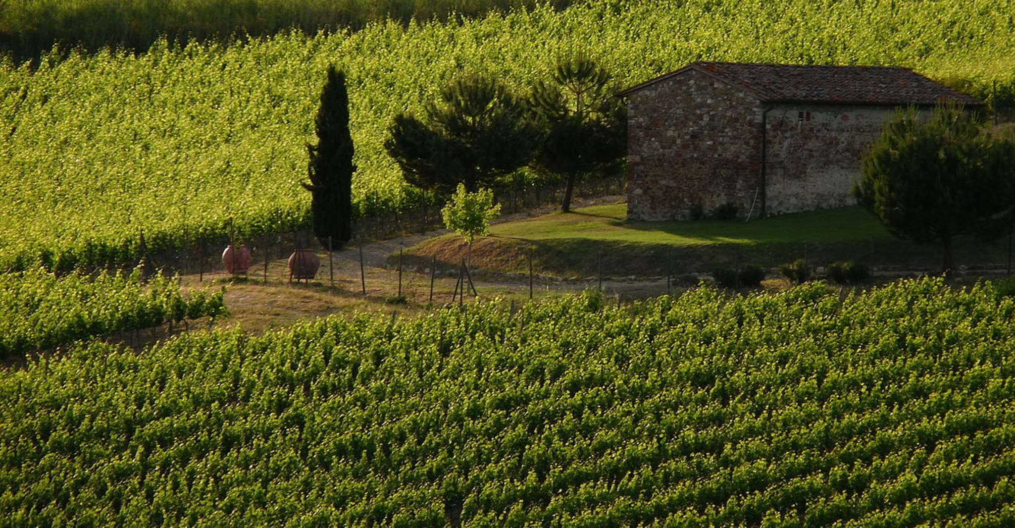 From Florence: Chianti Wine Tastings at Sunset Day Trip photo 2