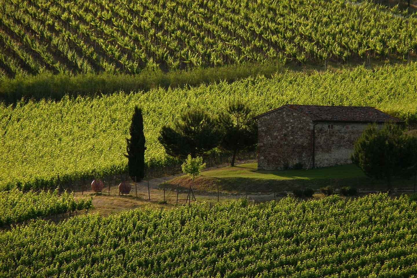 Da Firenze: Degustazioni di Vino Chianti al Tramonto