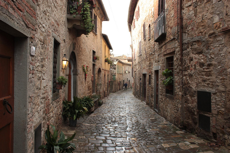 Florence: Chianti Villages, San Gimignano and Winery Tour Private Tour in Italian