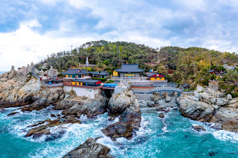 Busan Day Tour from Daegu:6 Highlights with Gamcheon Village Daegu ➔ Daegu Drop-off
