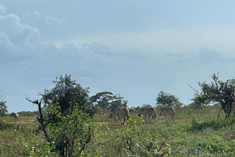 Mombasa: 3-Day Tsavo East/West & Kilimanjaro Views Safari