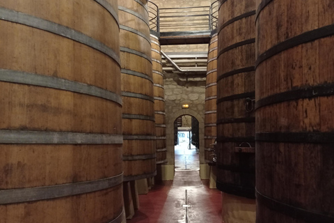 Visit and tasting in La Rioja wineries: Architecture, History and Wine Architecture and wine, and hidden wineries in RIOJA