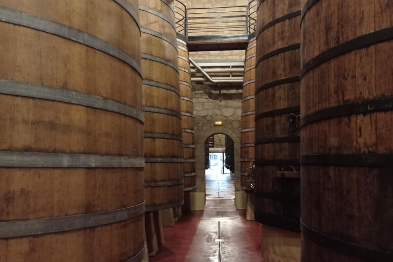 Visit and tasting in La Rioja wineries: Architecture, History and Wine Architecture and wine, and hidden wineries in RIOJA