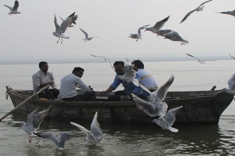 Varanasi : Promenade en bateau au lever du soleil avec les Ghats et les rituels du matin