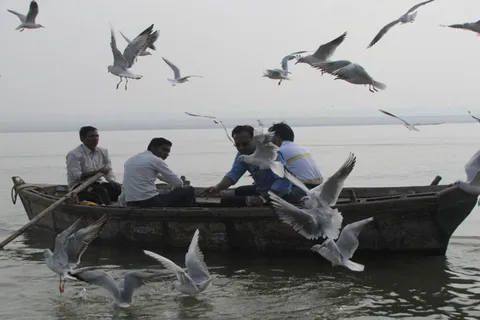 Varanasi: Sunrise Boat Ride w/ Ghats & Morning Rituals