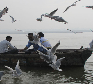 Ghats de Varanasi: Visitas Guiadas