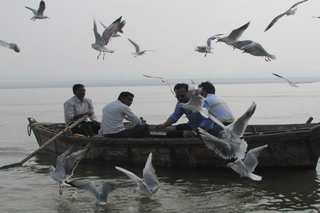 Ghats de Varanasi: Visites guidées