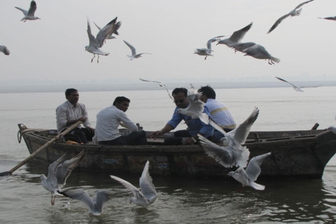Varanasi: Sunrise Boat Ride w / Ghats et Matin Rituels