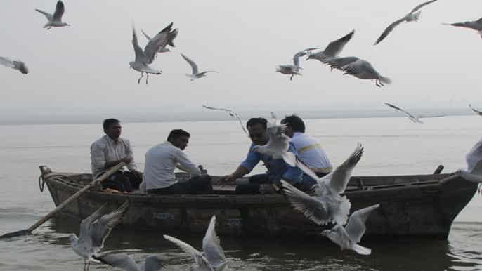 varanasi sunrise boat ride con ghats y rituales matinales