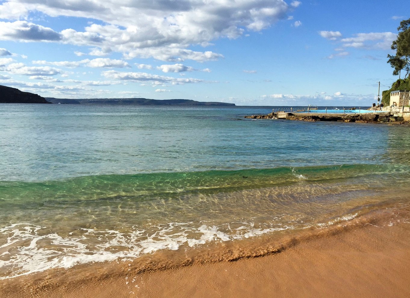 Sydney: Northern Beaches and Ku-ring-gai National Park Tour