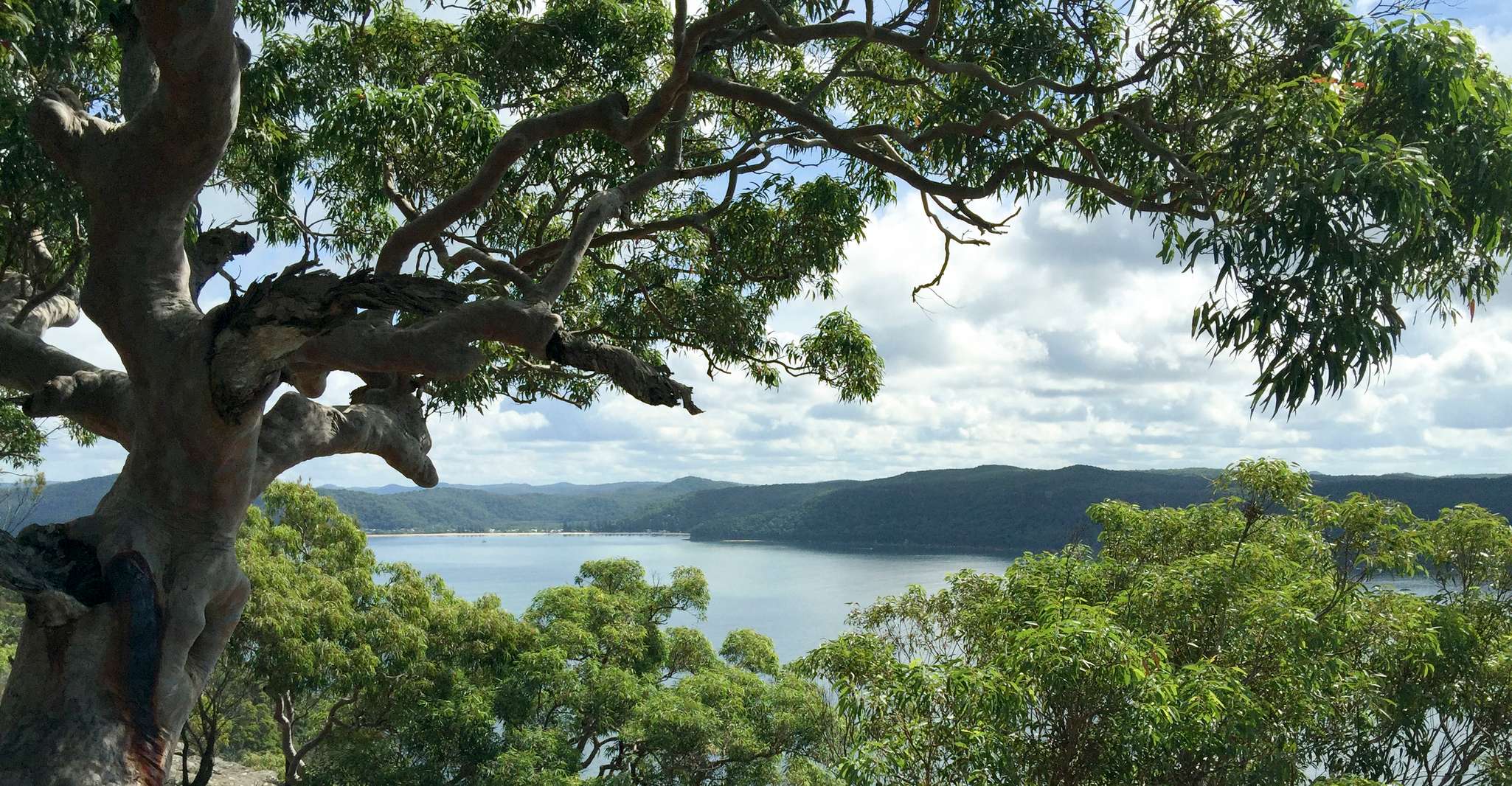 Sydney, Northern Beaches e Ku-ring-gai National Park Tour - Hizvo