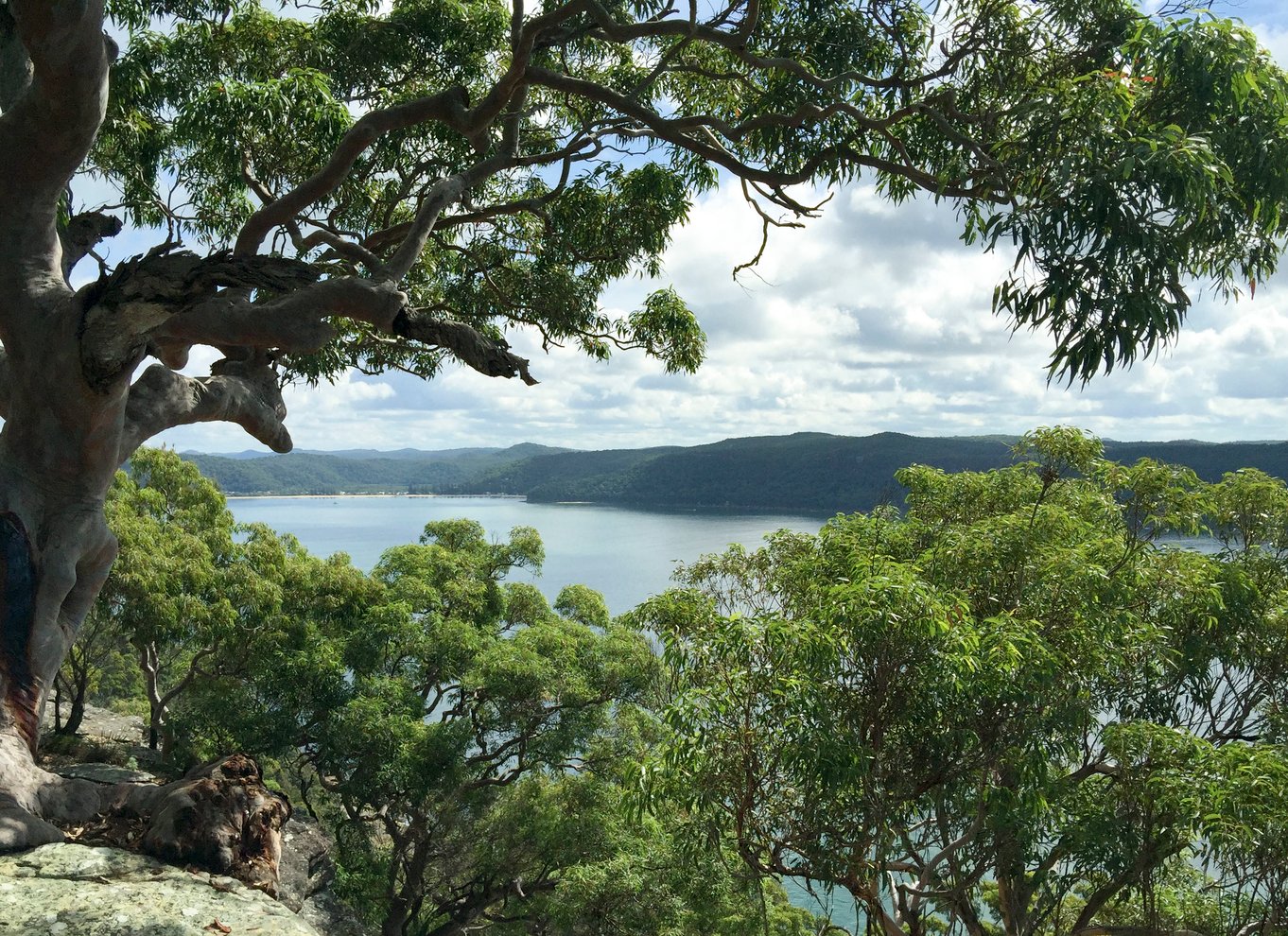 Sydney: Northern Beaches and Ku-ring-gai National Park Tour