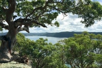 Sydney, les plages du Nord et le parc national Ku-ring-gai - Hizvo