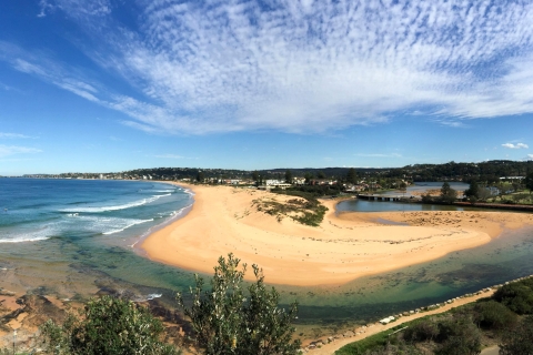 Sydney: Northern Beaches i Ku-ring-gai National Park Tour