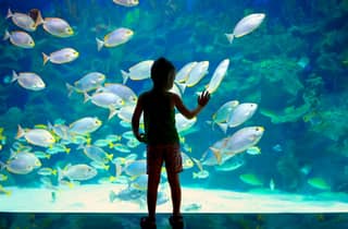 Oceanographic Museum of Monaco Ticket