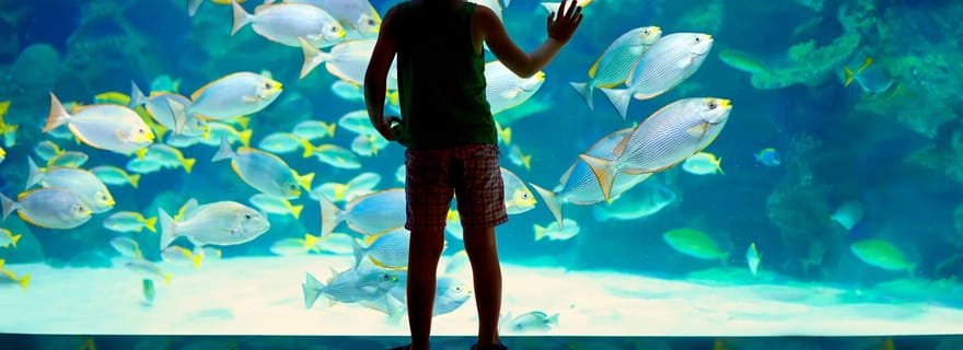 Billets pour le Musée océanographique de Monaco