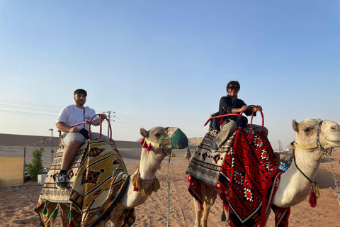 Riyadh:Red Sand Dunes camel ride&Quad&Sandboarding Adventure Private Tour with pick up and drop off from your location