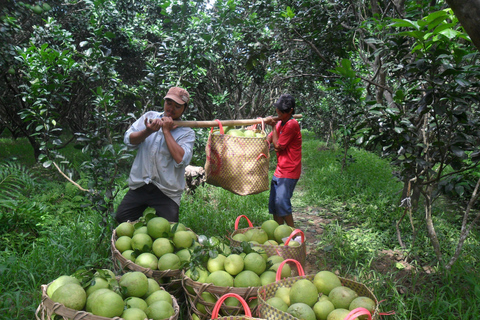 De Ho Chi Minh: excursion privée d'une journée au marché flottant de Cai RangMarché flottant de Cai Rang et excursion privée d'une journée dans le delta du Mékong