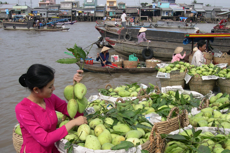 De Ho Chi Minh: excursion privée d'une journée au marché flottant de Cai RangMarché flottant de Cai Rang et excursion privée d'une journée dans le delta du Mékong