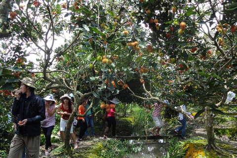 De Ho Chi Minh: excursion privée d'une journée au marché flottant de Cai RangMarché flottant de Cai Rang et excursion privée d'une journée dans le delta du Mékong