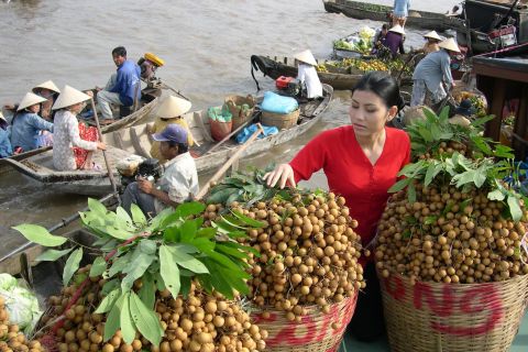 Da Ho Chi Minh: tour privato di un giorno al mercato galleggiante di Cai Rang