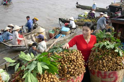 From Ho Chi Minh: Cai Rang Floating Market Private Day Tour