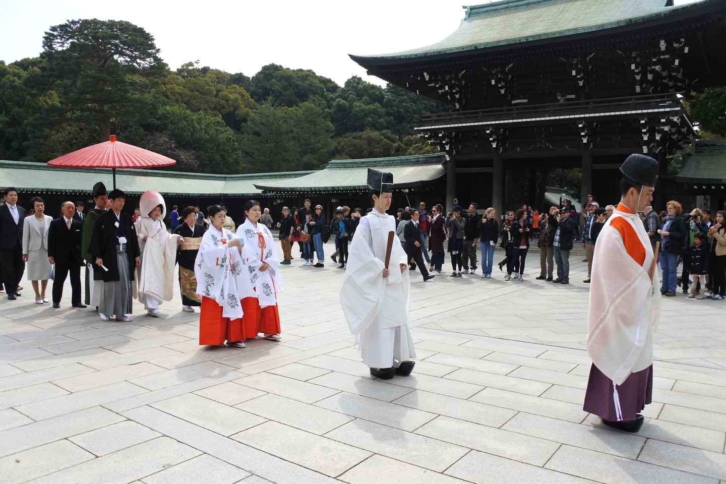 tours of tokyo in english