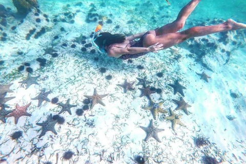 Zanzibar: Blue lagoon, Starfish, Snorkling & the Rock