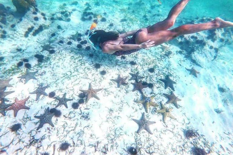 Zanzibar: Blue lagoon, Starfish, Snorkling & the Rock