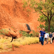 Uluru Day Tour with Sunset BBQ - from Ayers Rock Resort