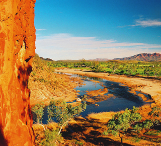 Day Trips and Tours from Alice Springs