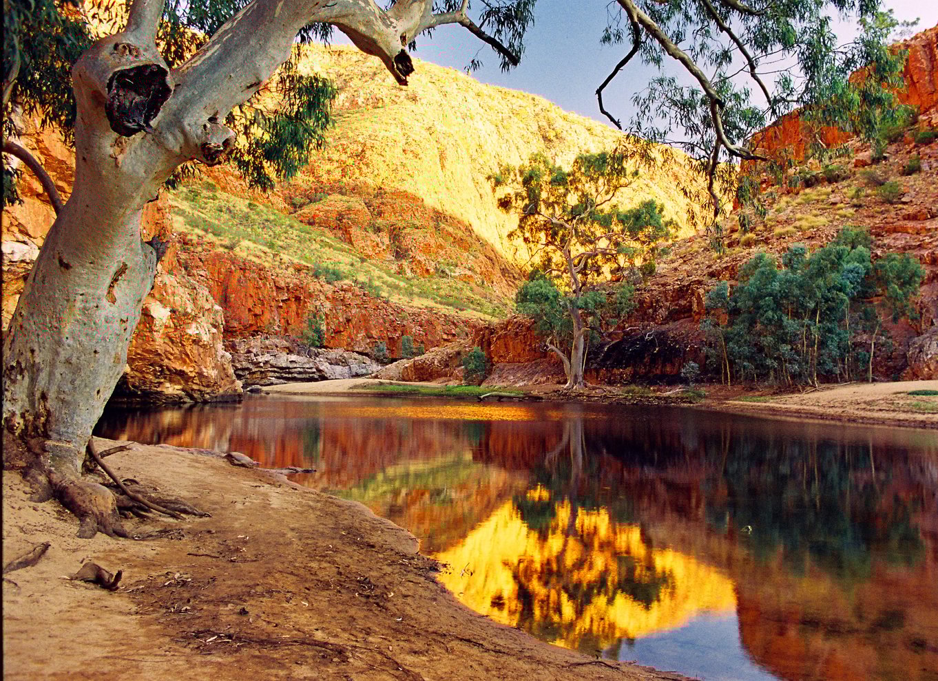 Fra Alice Springs: Dagstur til West MacDonnell Ranges
