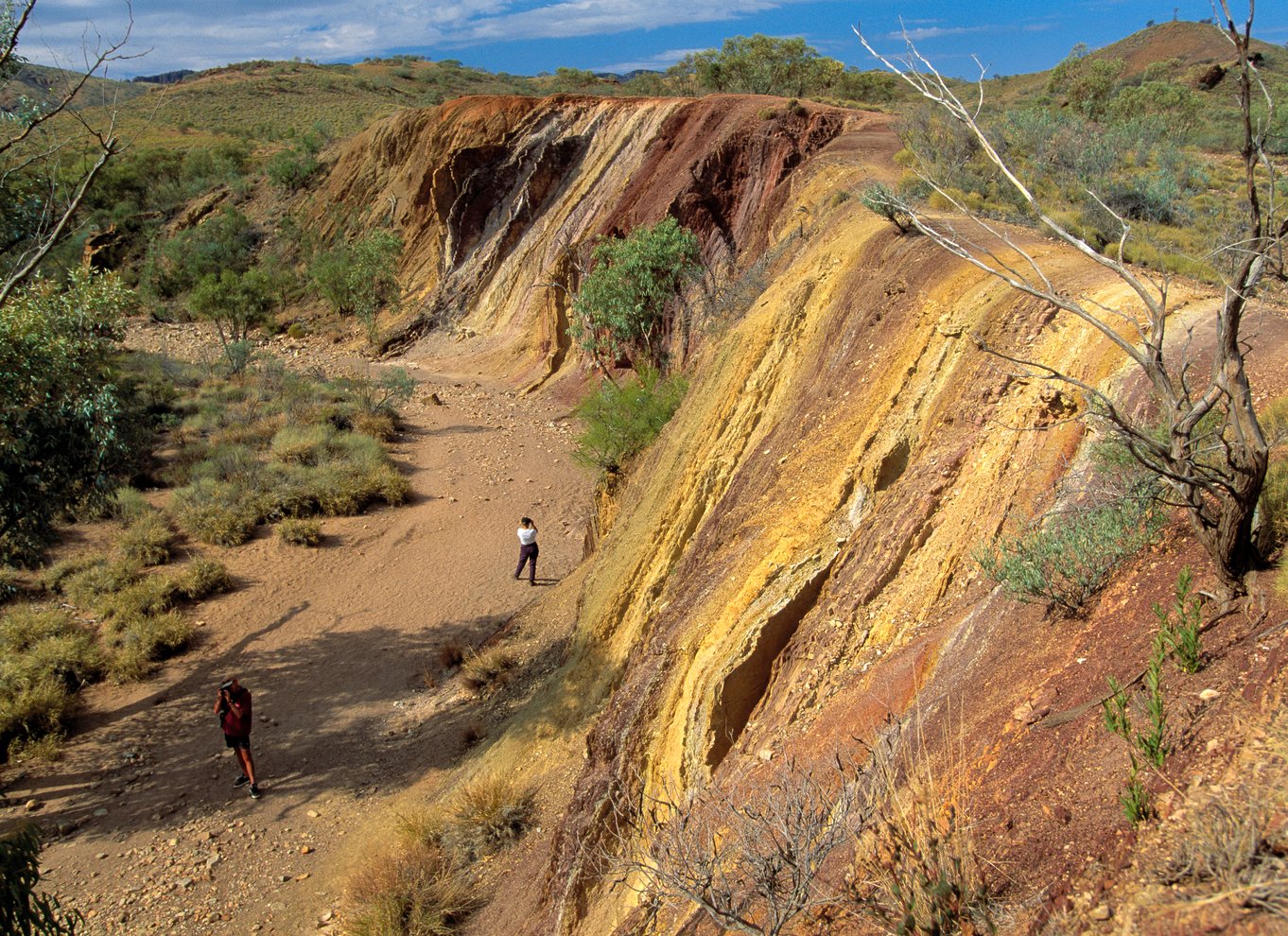 Fra Alice Springs: Dagstur til West MacDonnell Ranges